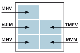 BIOCHIP Mouse Monitoring Mosaic 1