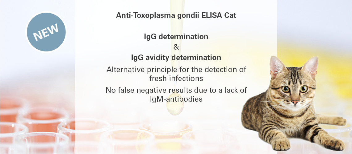 toxoplasmosis in cats